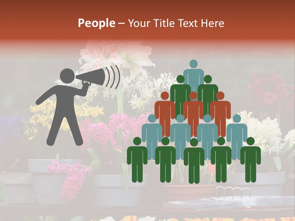 Beautiful Garden Flowers In Spring PowerPoint Template