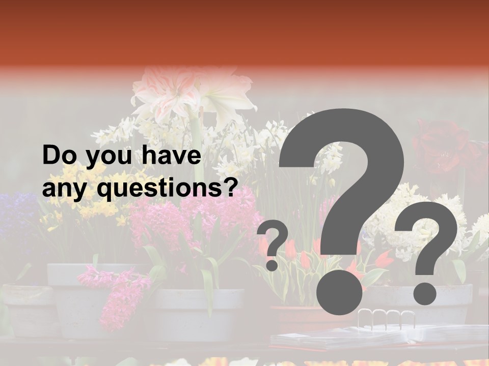 Beautiful Garden Flowers In Spring PowerPoint Template