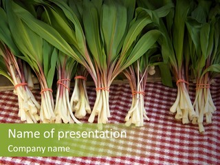 Local Farmers Market With Fresh Ramp For Sale In Early Spring PowerPoint Template