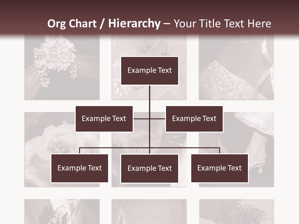 A Brochure With A Bunch Of Different Pictures PowerPoint Template