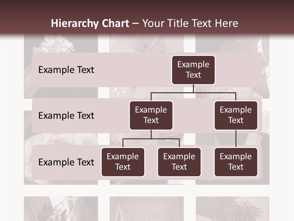 A Brochure With A Bunch Of Different Pictures PowerPoint Template