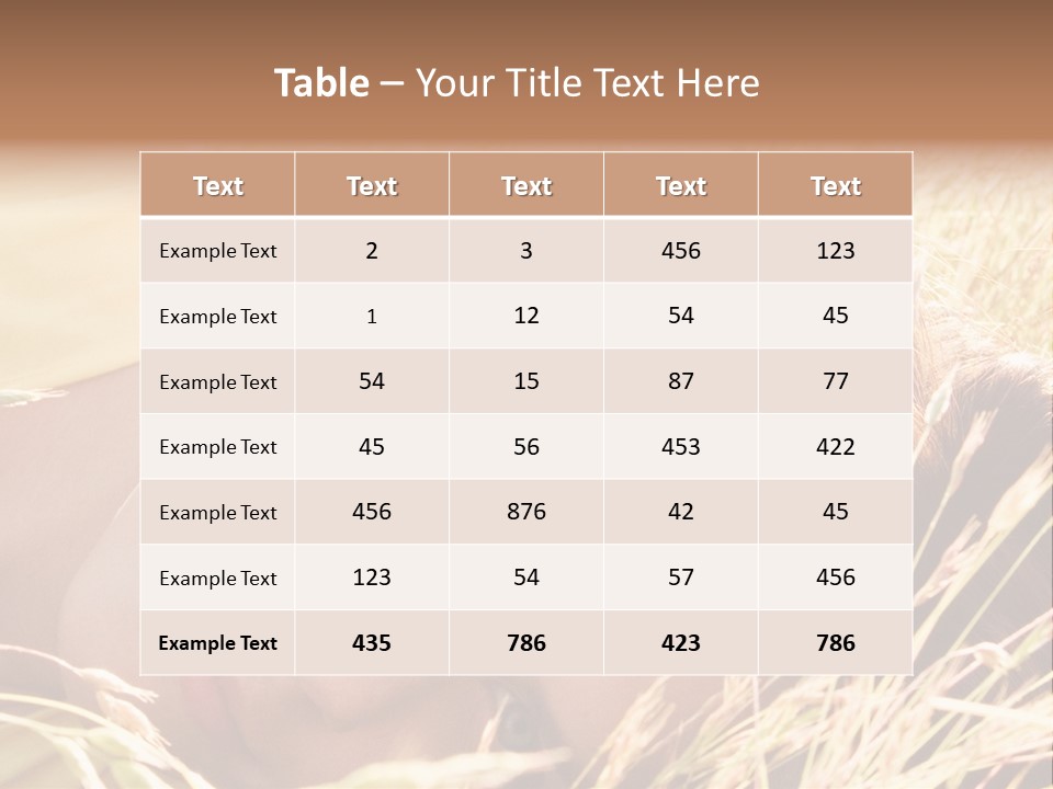 Building Developer And Contractor Discuss Progress On A Hirise Construction Project At The Job Site PowerPoint Template