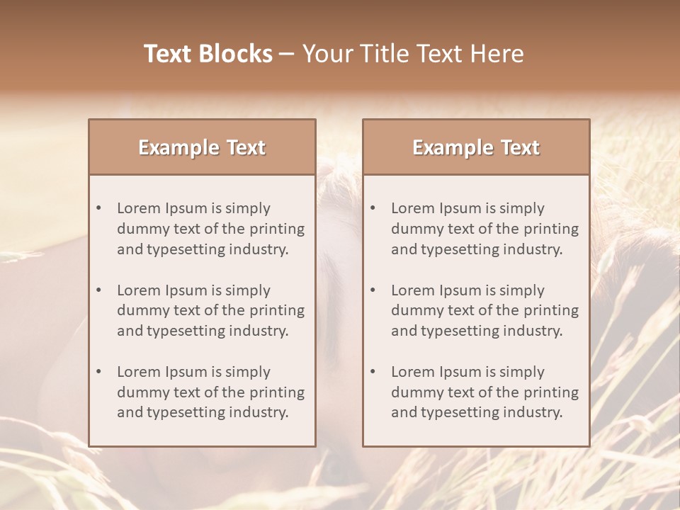 Building Developer And Contractor Discuss Progress On A Hirise Construction Project At The Job Site PowerPoint Template