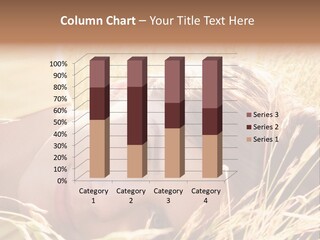 Building Developer And Contractor Discuss Progress On A Hirise Construction Project At The Job Site PowerPoint Template