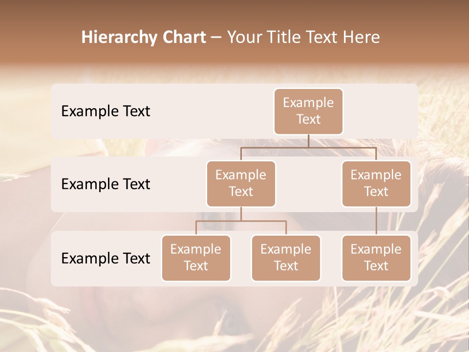 Building Developer And Contractor Discuss Progress On A Hirise Construction Project At The Job Site PowerPoint Template