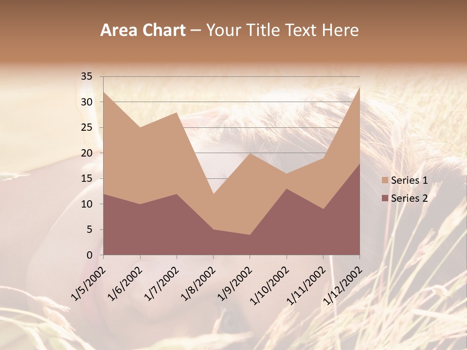 Building Developer And Contractor Discuss Progress On A Hirise Construction Project At The Job Site PowerPoint Template