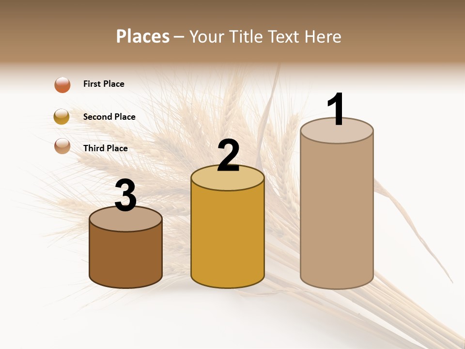 Bundle Of Wheat Isolated On White PowerPoint Template