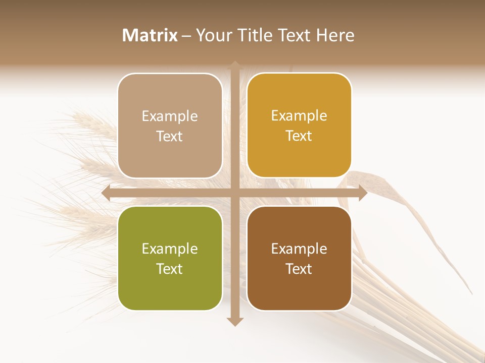 Bundle Of Wheat Isolated On White PowerPoint Template