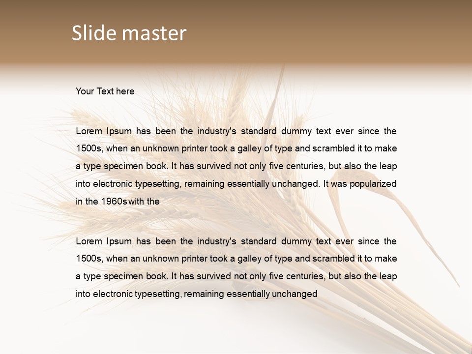 Bundle Of Wheat Isolated On White PowerPoint Template