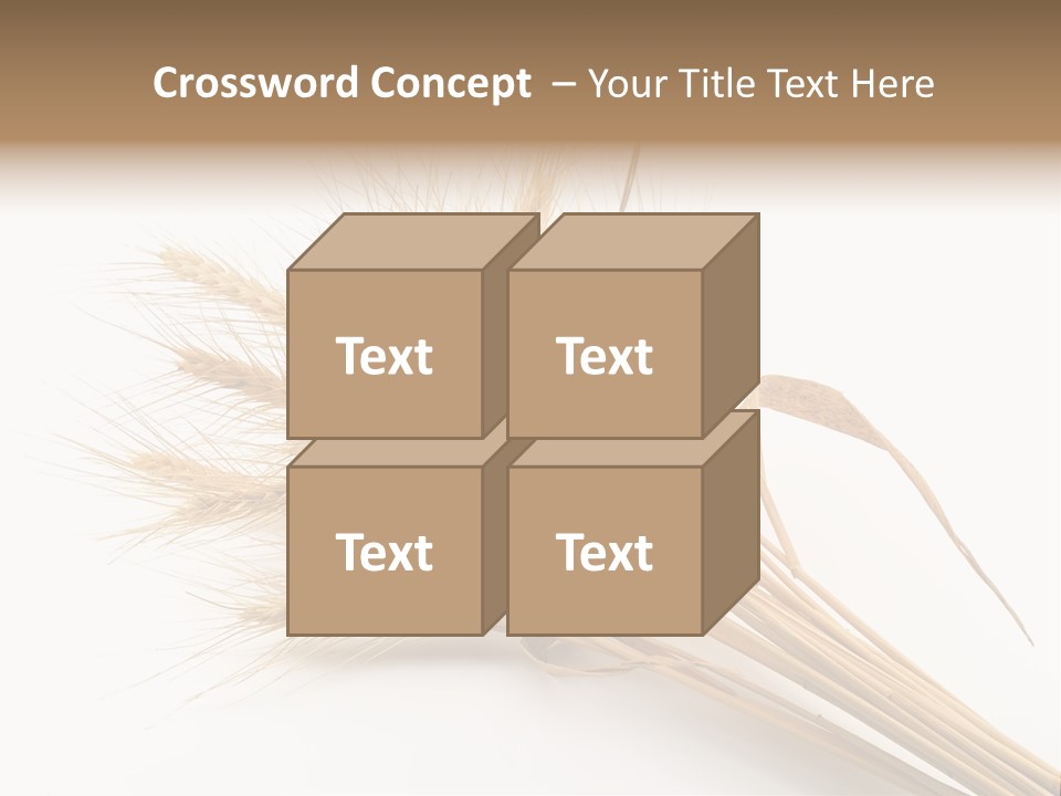 Bundle Of Wheat Isolated On White PowerPoint Template