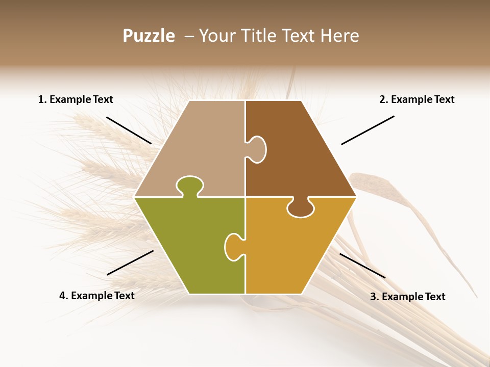 Bundle Of Wheat Isolated On White PowerPoint Template