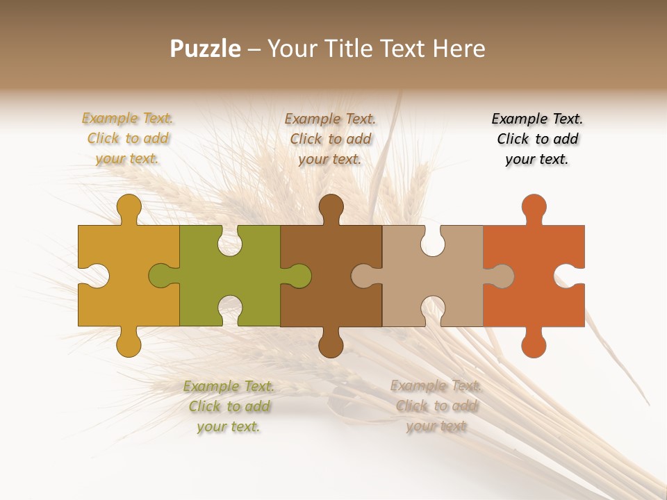 Bundle Of Wheat Isolated On White PowerPoint Template