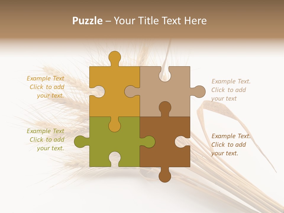 Bundle Of Wheat Isolated On White PowerPoint Template