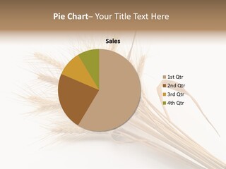 Bundle Of Wheat Isolated On White PowerPoint Template
