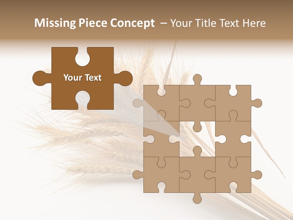 Bundle Of Wheat Isolated On White PowerPoint Template