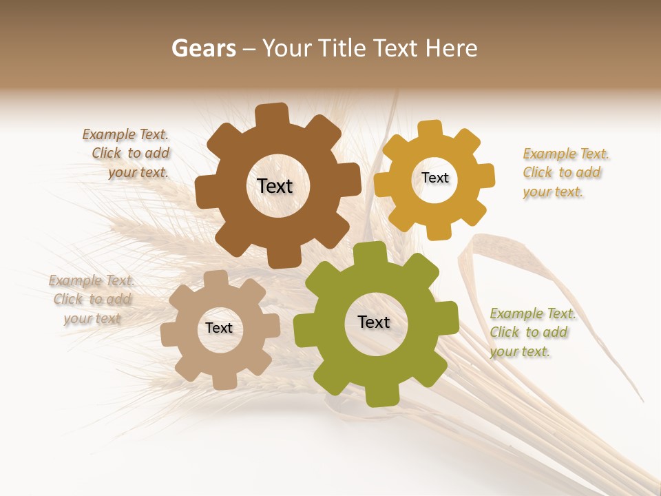 Bundle Of Wheat Isolated On White PowerPoint Template