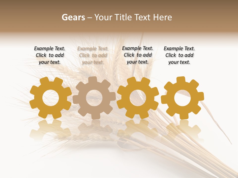 Bundle Of Wheat Isolated On White PowerPoint Template