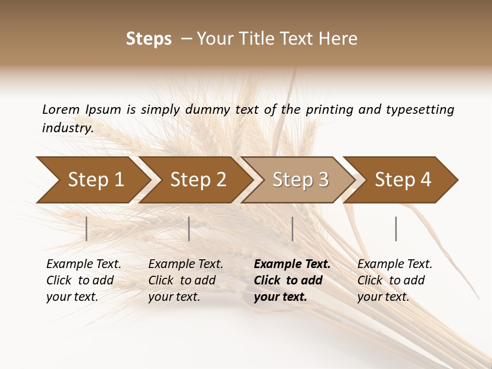 Bundle Of Wheat Isolated On White PowerPoint Template