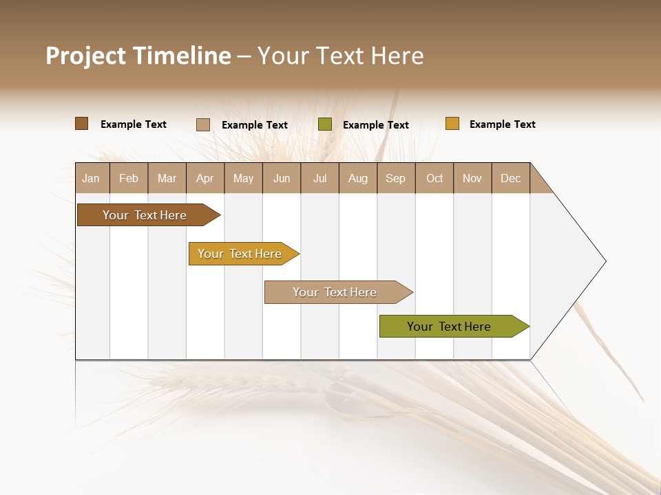 Bundle Of Wheat Isolated On White PowerPoint Template