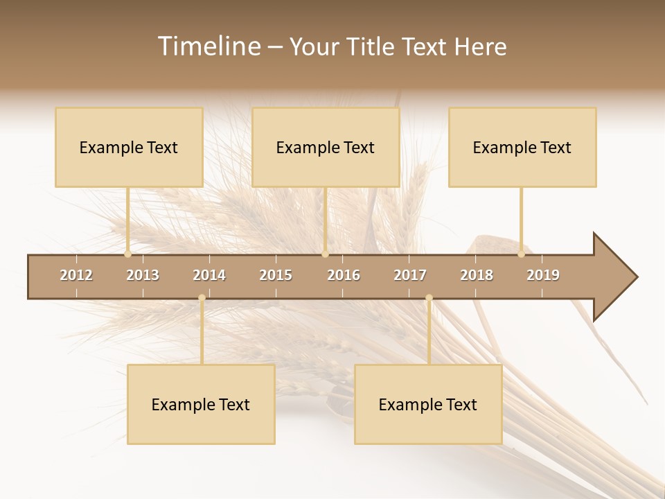 Bundle Of Wheat Isolated On White PowerPoint Template