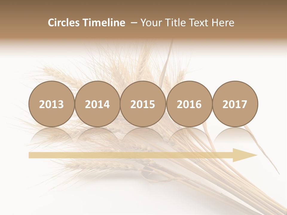 Bundle Of Wheat Isolated On White PowerPoint Template