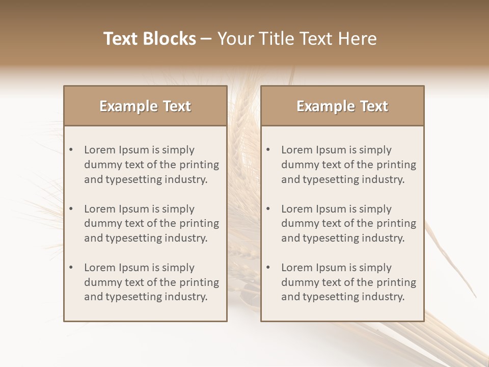 Bundle Of Wheat Isolated On White PowerPoint Template