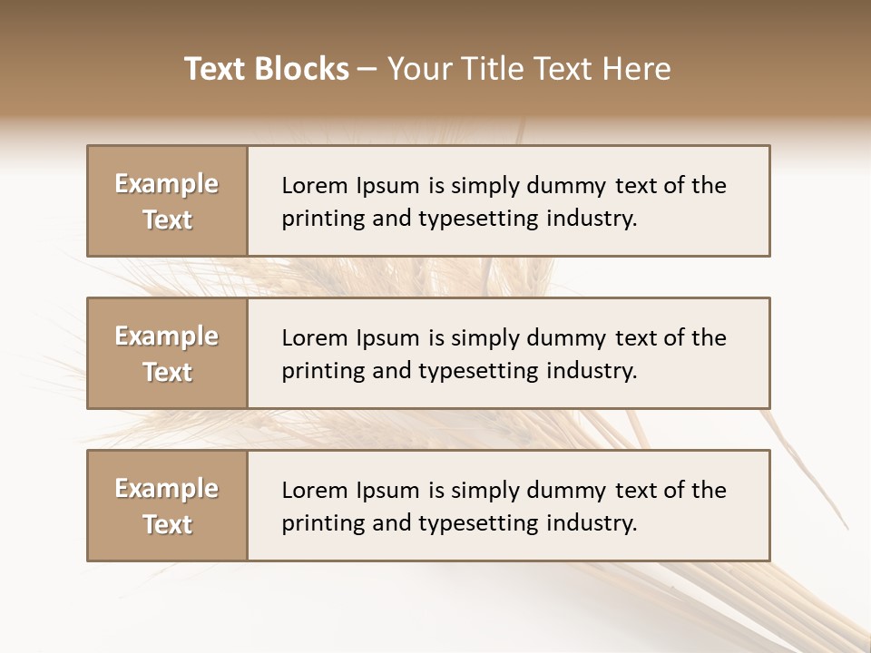 Bundle Of Wheat Isolated On White PowerPoint Template