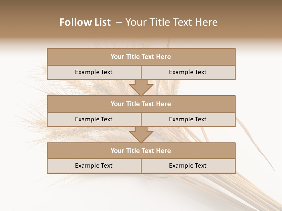 Bundle Of Wheat Isolated On White PowerPoint Template