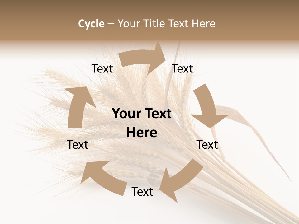 Bundle Of Wheat Isolated On White PowerPoint Template