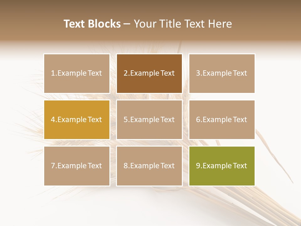 Bundle Of Wheat Isolated On White PowerPoint Template