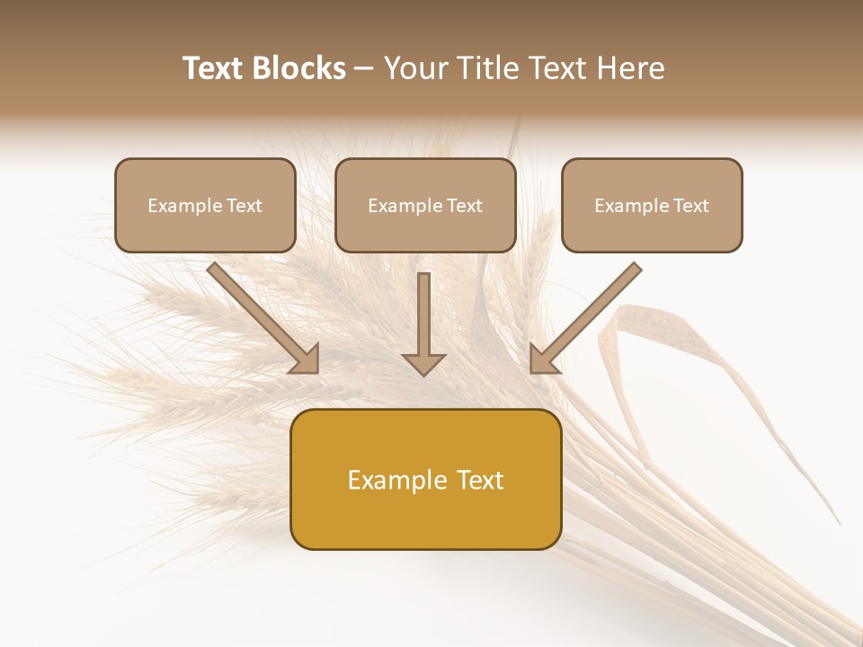 Bundle Of Wheat Isolated On White PowerPoint Template