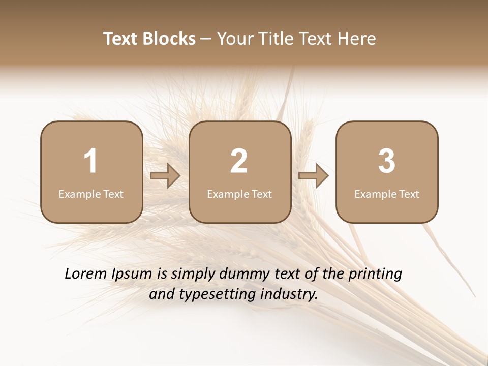 Bundle Of Wheat Isolated On White PowerPoint Template