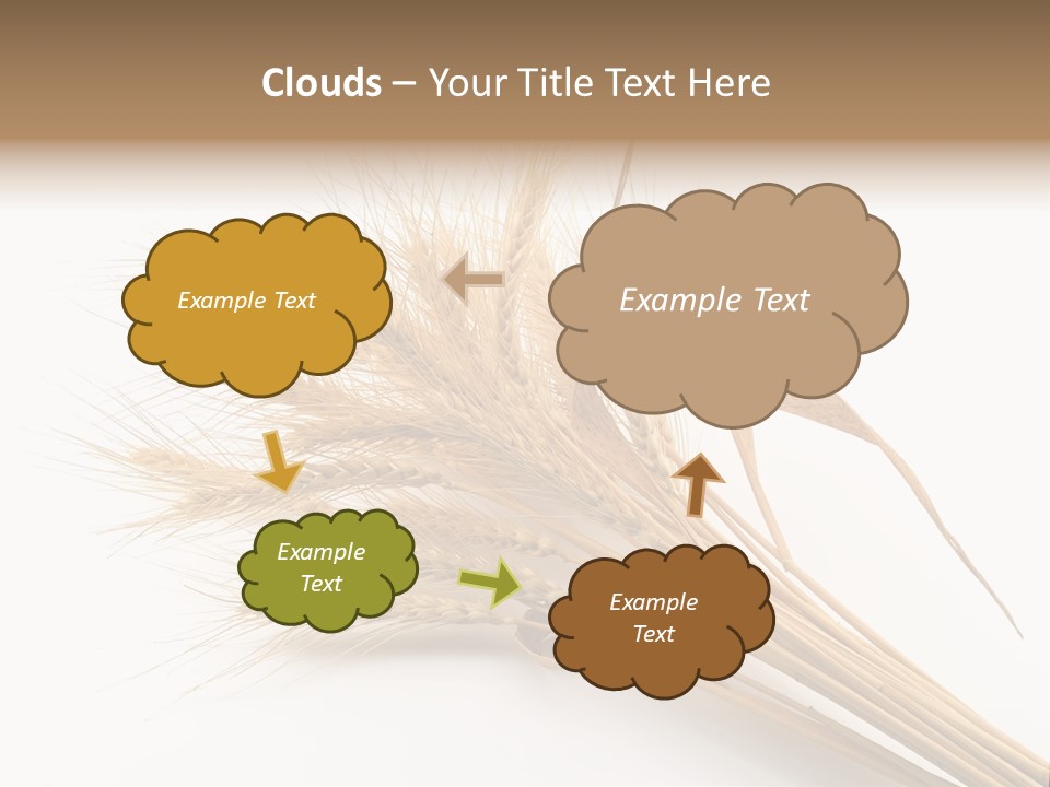 Bundle Of Wheat Isolated On White PowerPoint Template