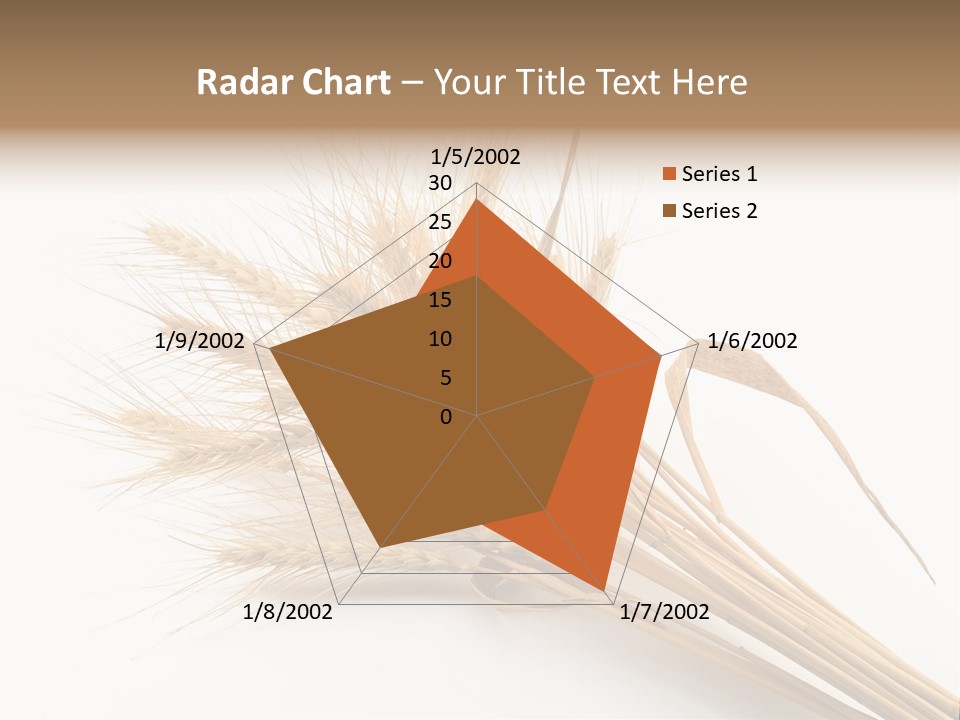 Bundle Of Wheat Isolated On White PowerPoint Template