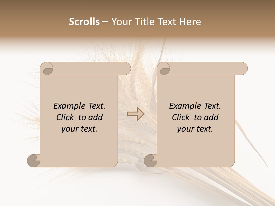 Bundle Of Wheat Isolated On White PowerPoint Template