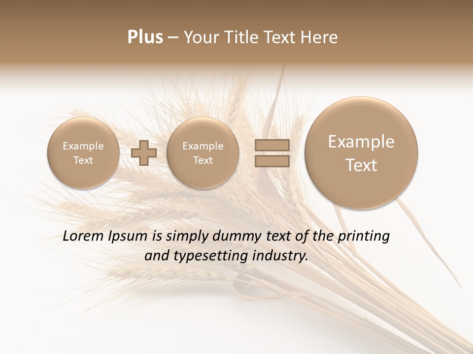 Bundle Of Wheat Isolated On White PowerPoint Template