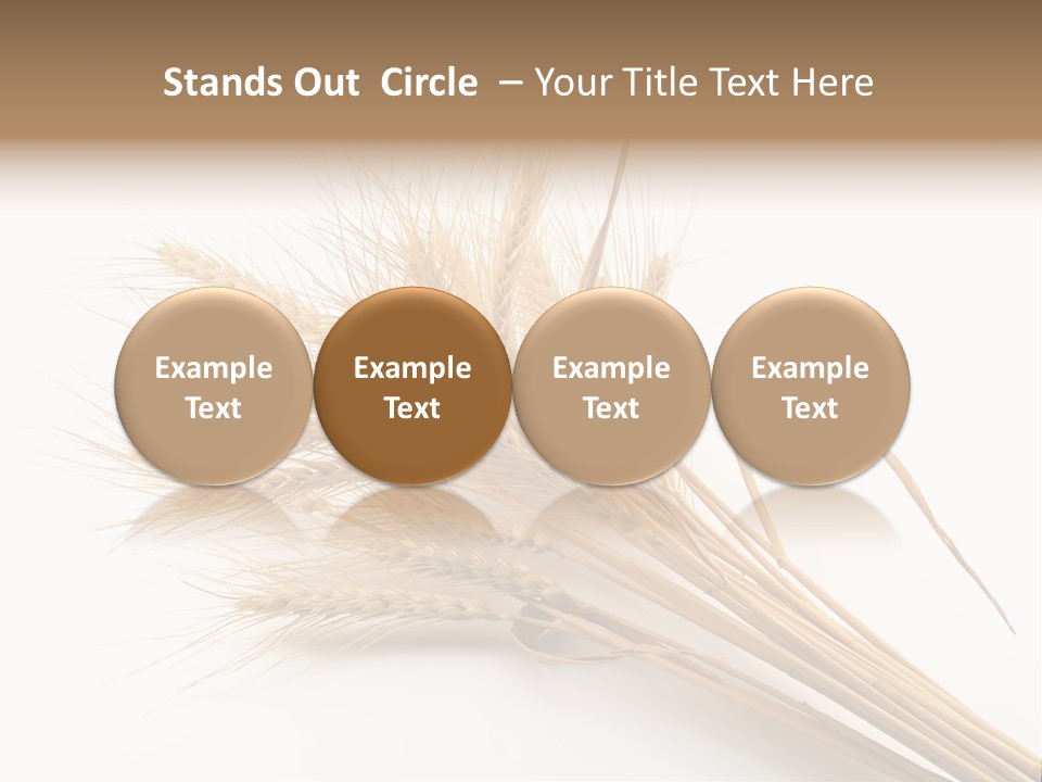 Bundle Of Wheat Isolated On White PowerPoint Template