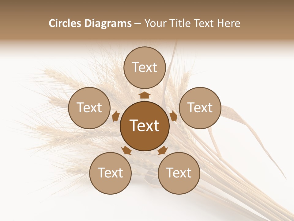 Bundle Of Wheat Isolated On White PowerPoint Template