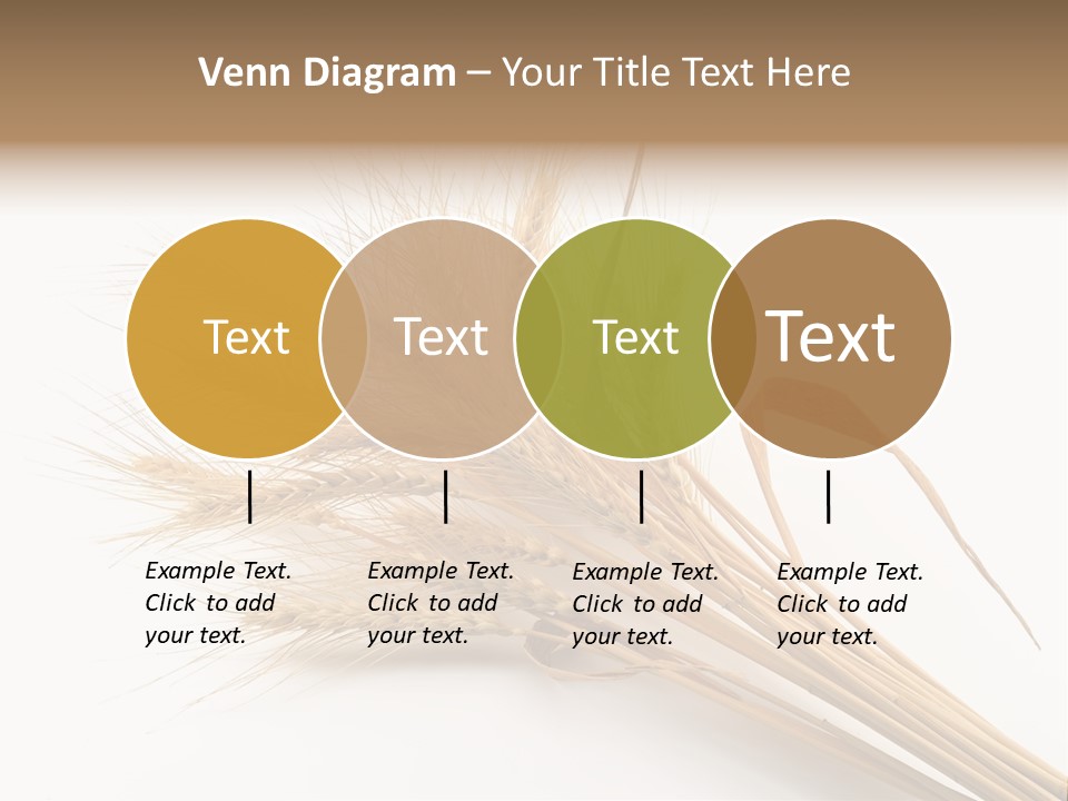 Bundle Of Wheat Isolated On White PowerPoint Template