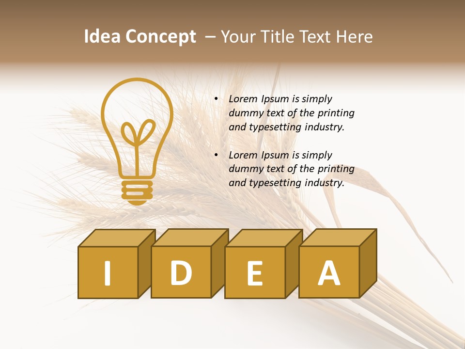 Bundle Of Wheat Isolated On White PowerPoint Template