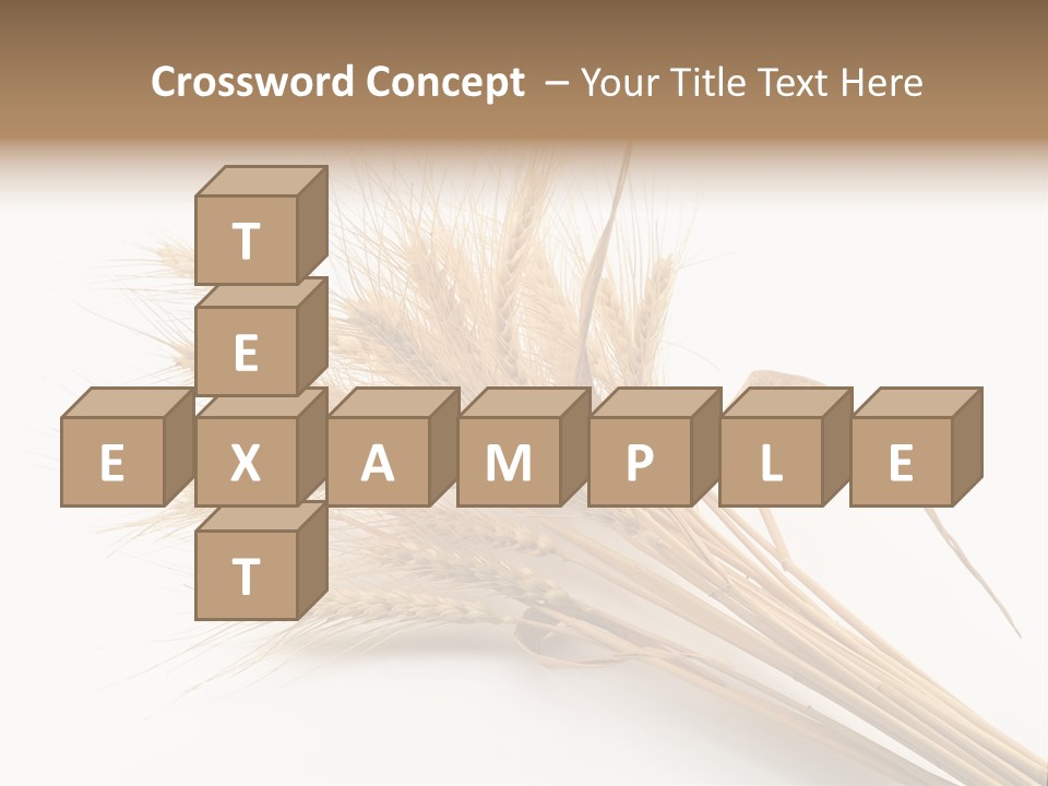 Bundle Of Wheat Isolated On White PowerPoint Template