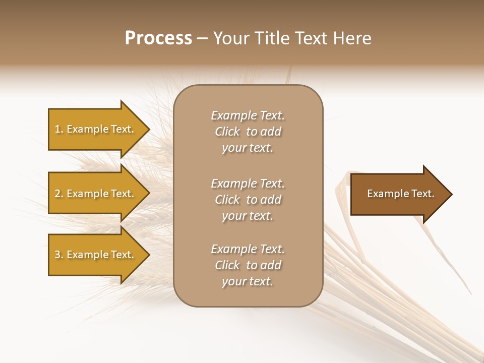 Bundle Of Wheat Isolated On White PowerPoint Template