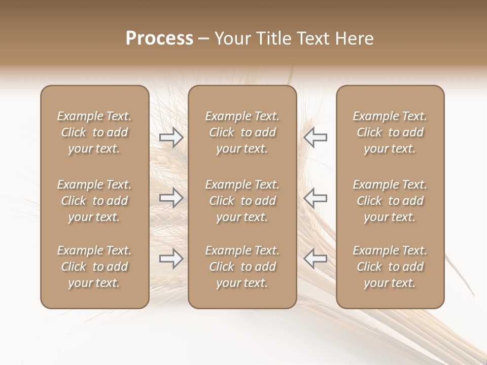 Bundle Of Wheat Isolated On White PowerPoint Template