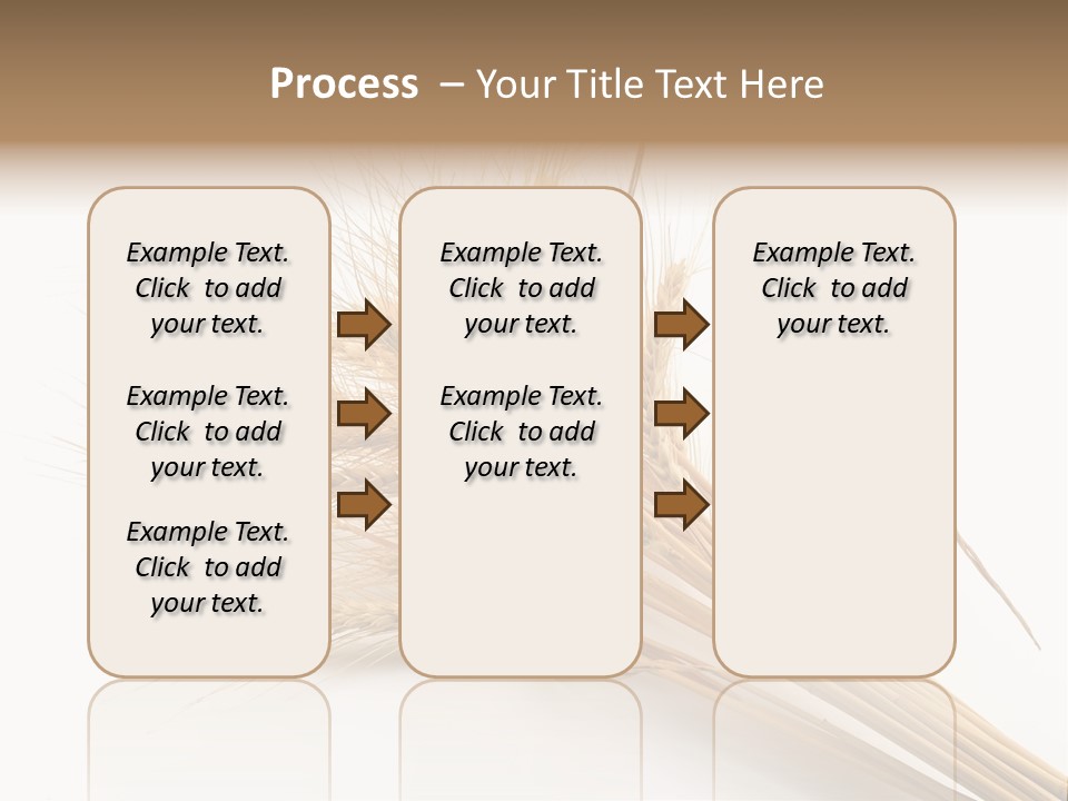 Bundle Of Wheat Isolated On White PowerPoint Template