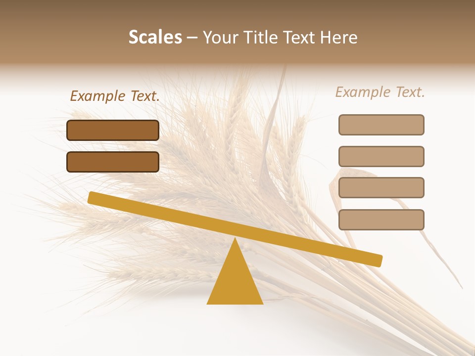 Bundle Of Wheat Isolated On White PowerPoint Template