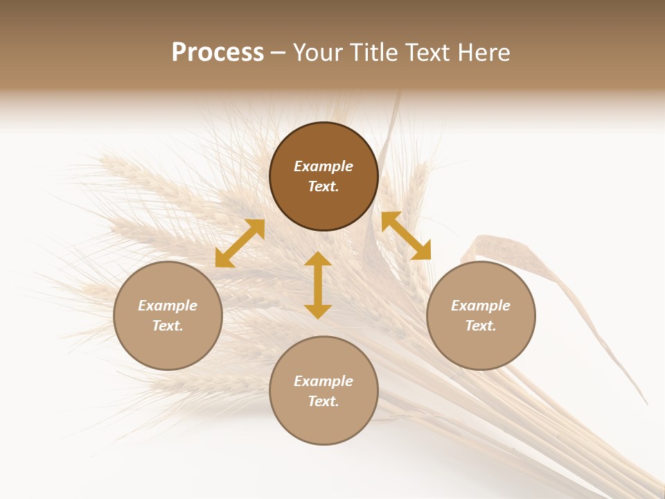 Bundle Of Wheat Isolated On White PowerPoint Template