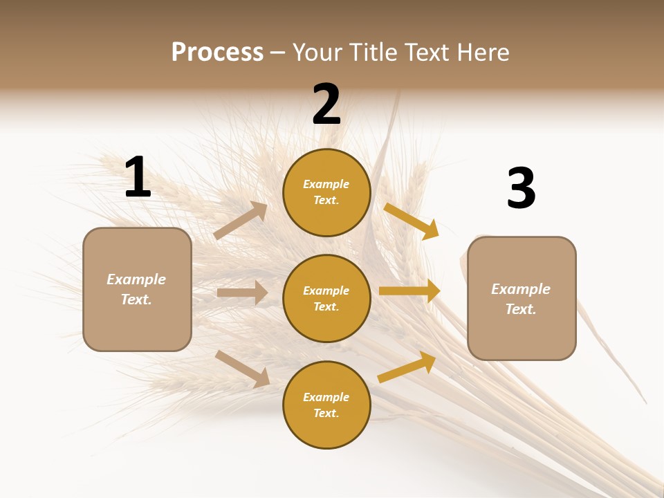 Bundle Of Wheat Isolated On White PowerPoint Template