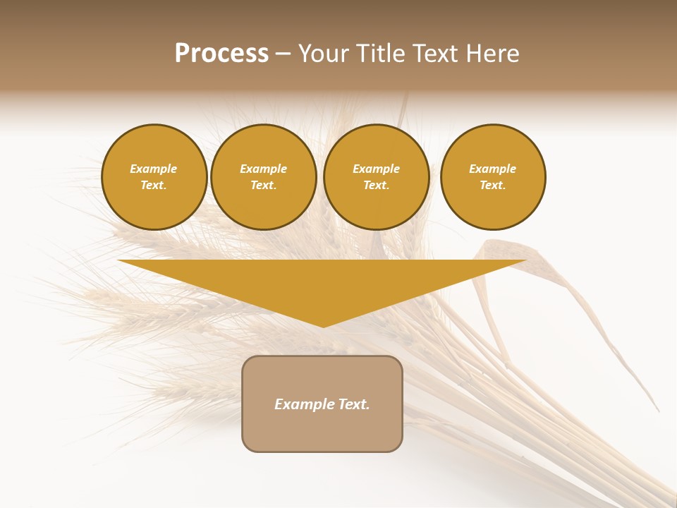 Bundle Of Wheat Isolated On White PowerPoint Template