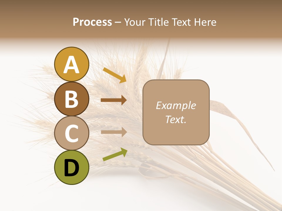 Bundle Of Wheat Isolated On White PowerPoint Template