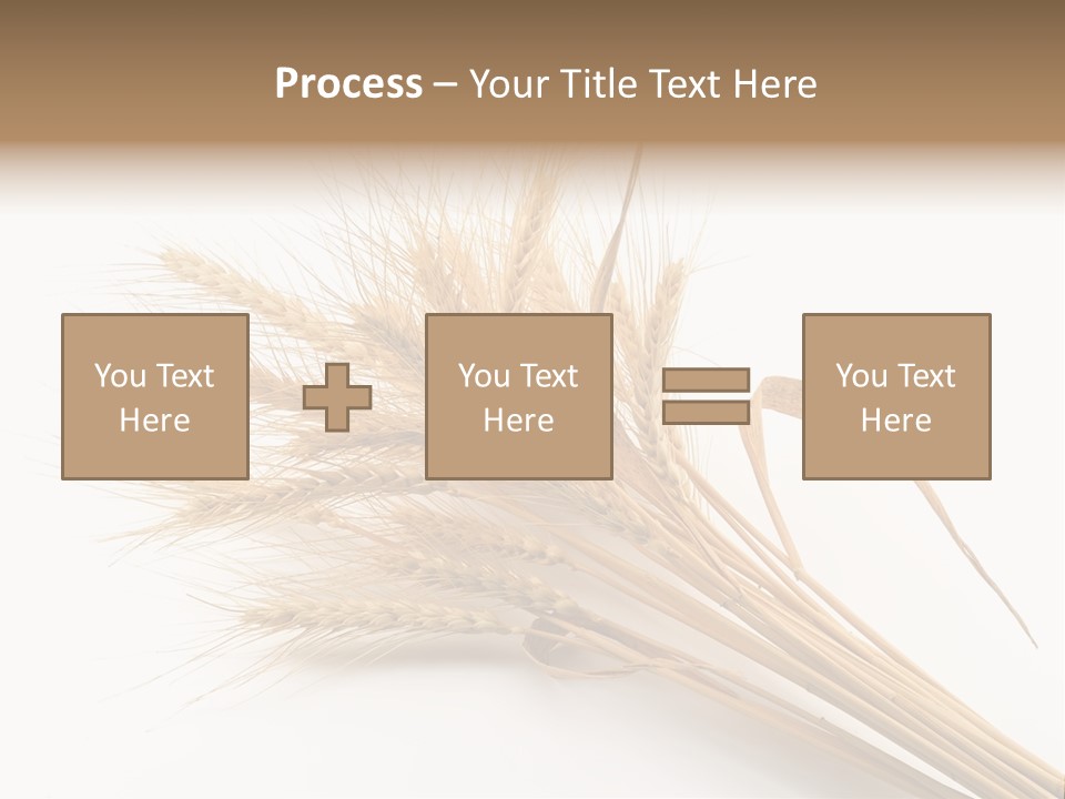 Bundle Of Wheat Isolated On White PowerPoint Template